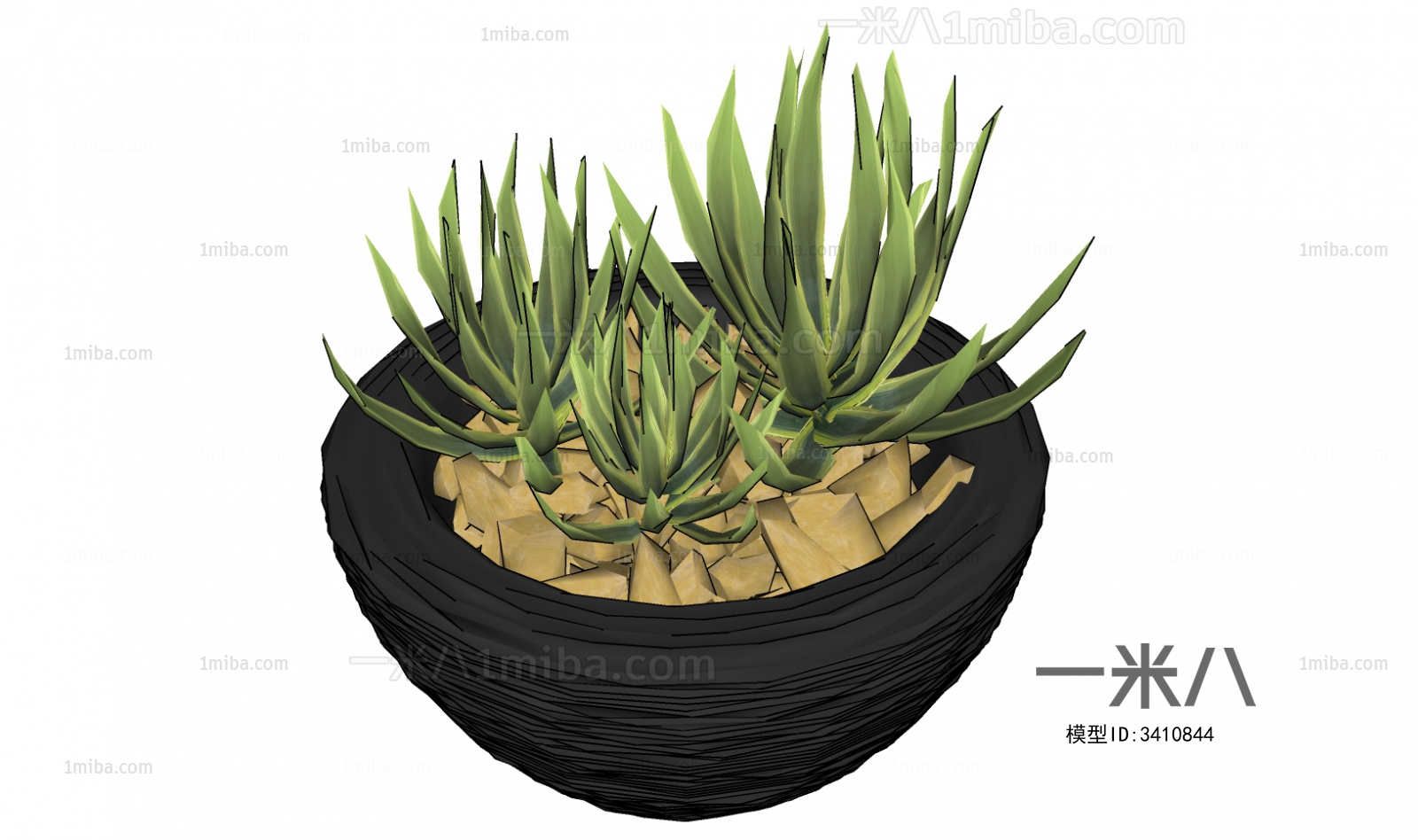 Modern Potted Green Plant