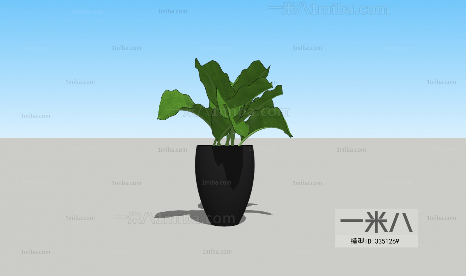 Modern Potted Green Plant