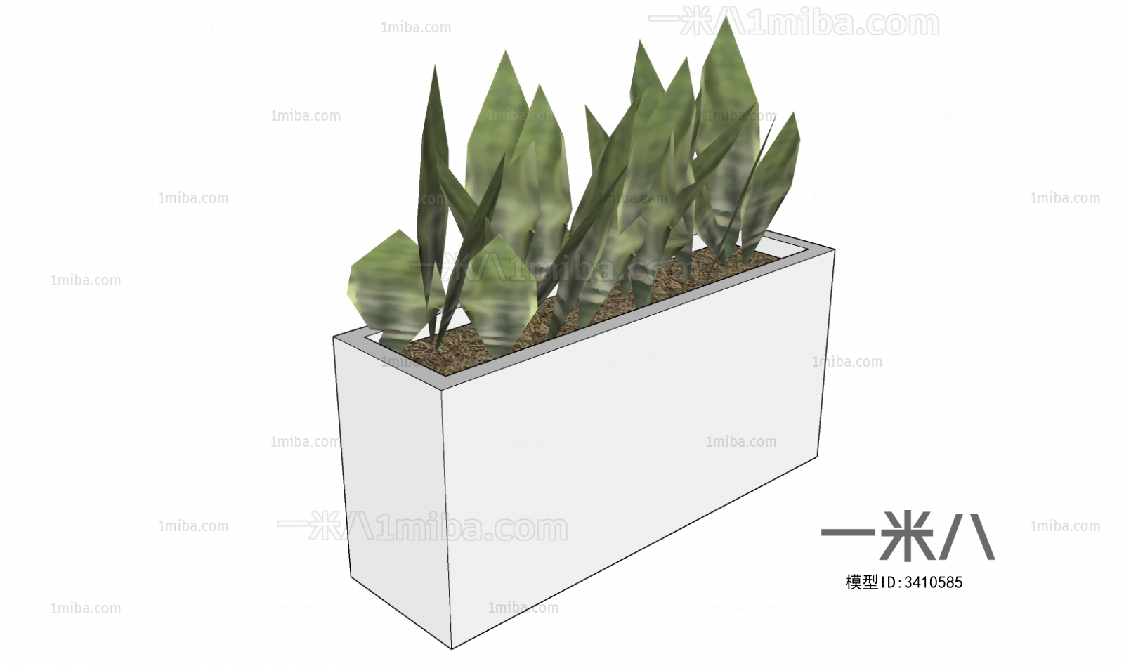 现代绿植盆栽