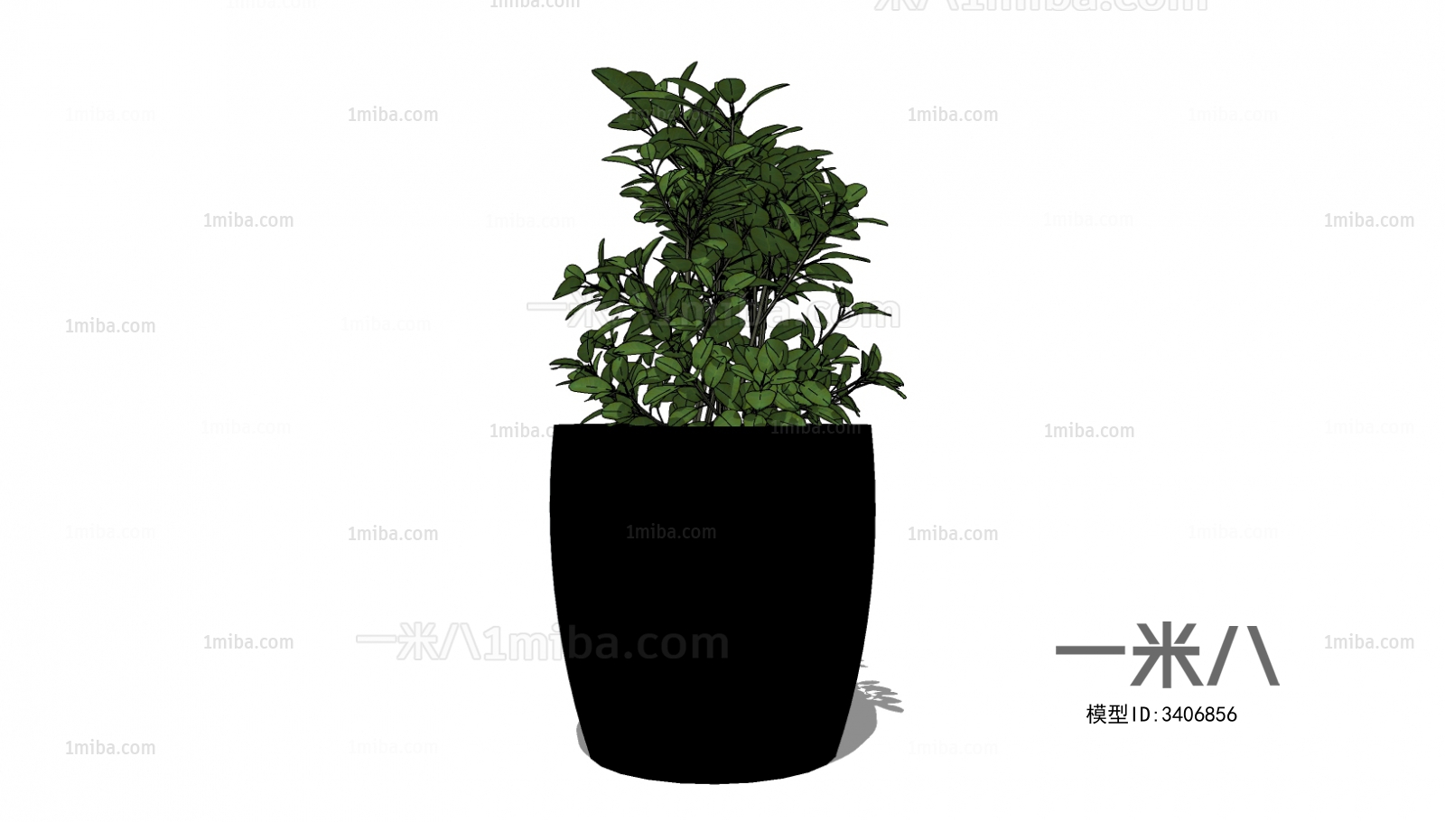 Modern Potted Green Plant