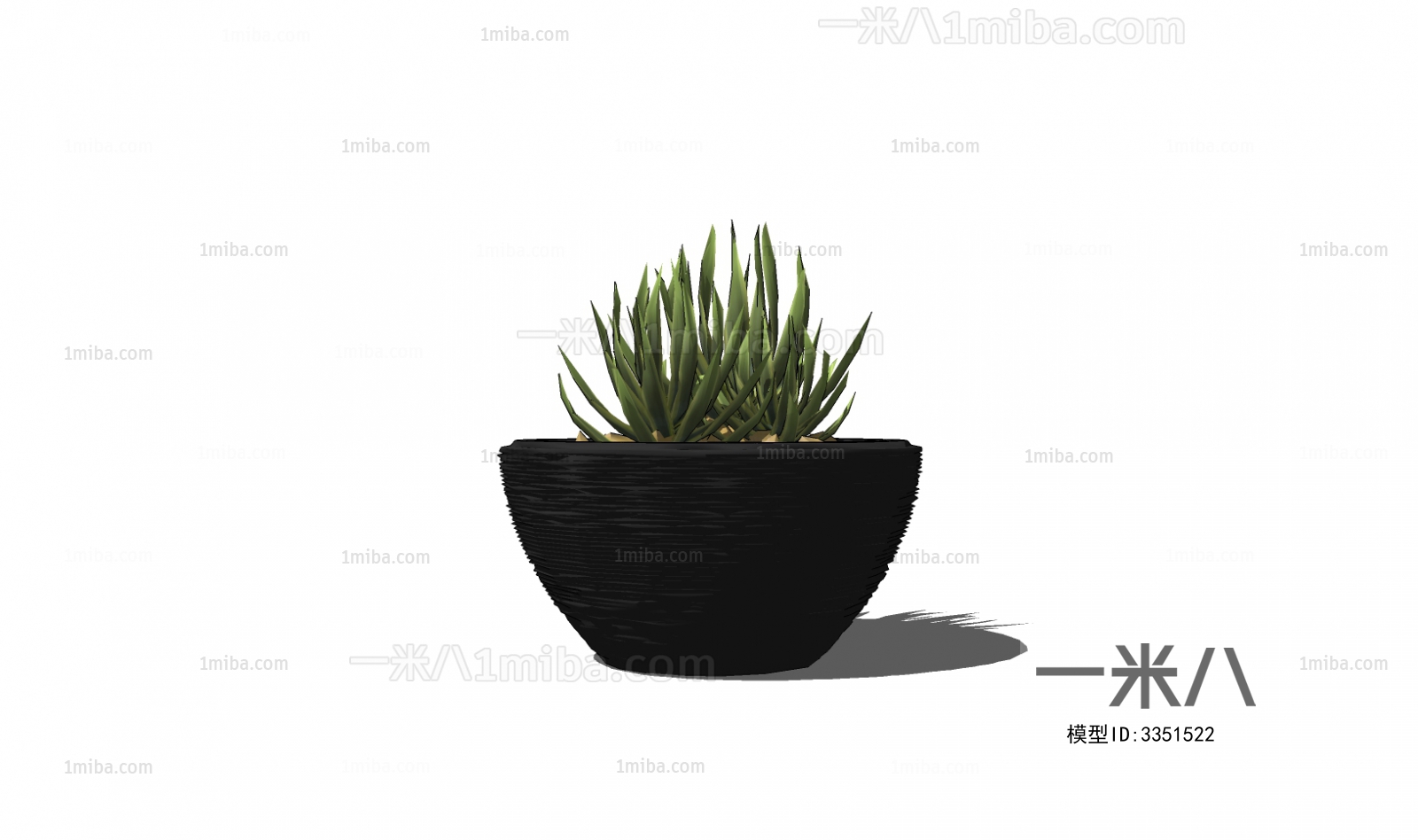 Modern Potted Green Plant