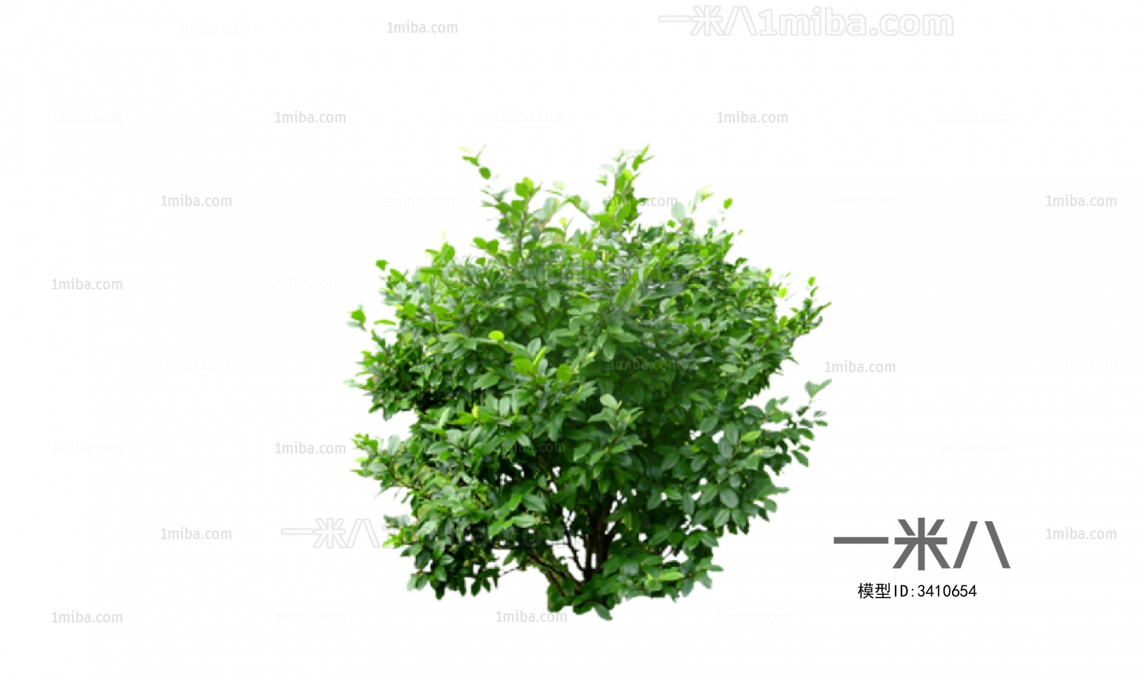 现代绿色植物