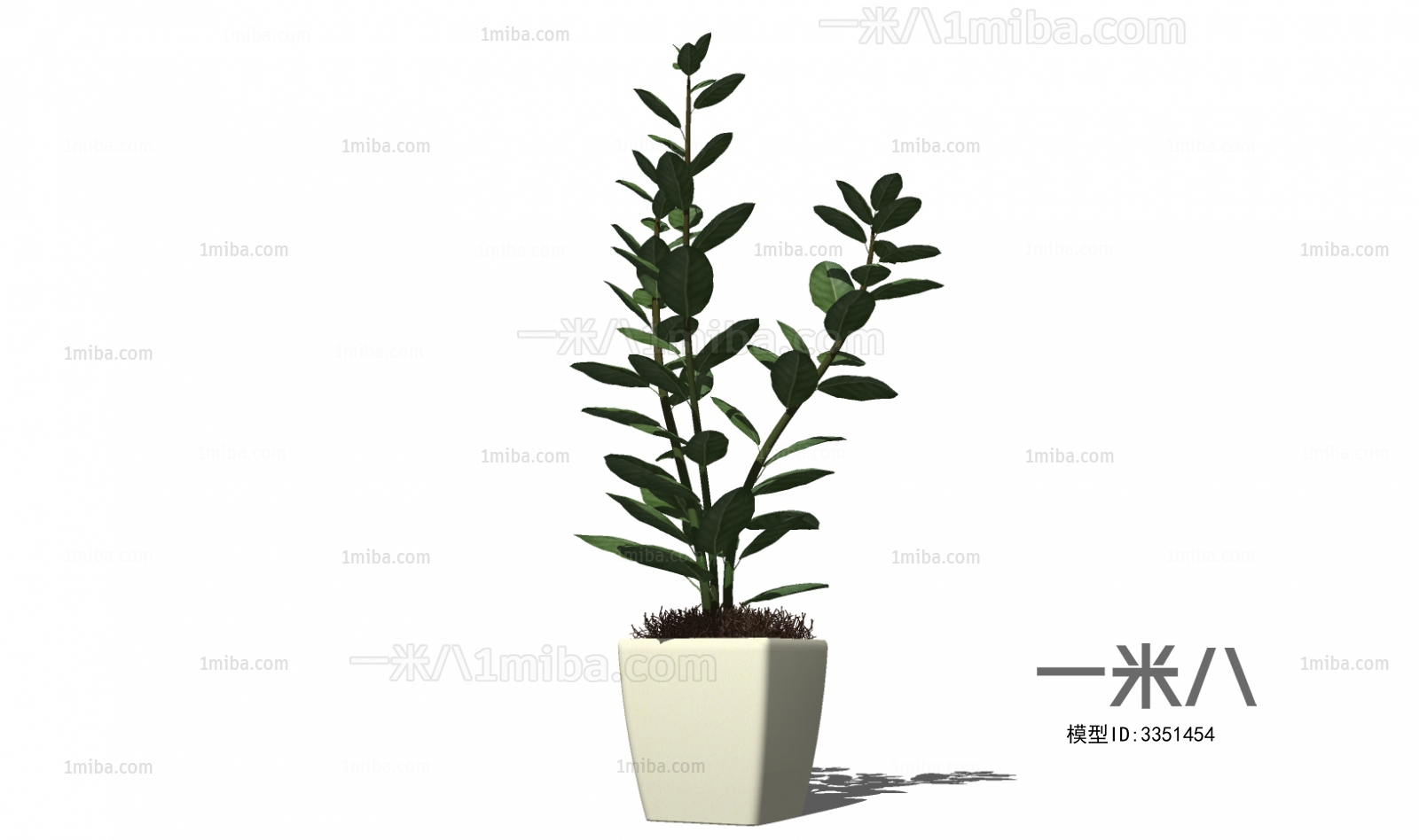 Modern Potted Green Plant