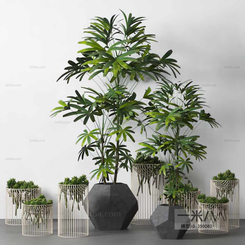 Modern Potted Green Plant