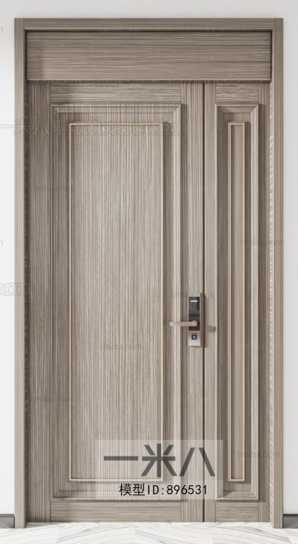 Modern Entrance Door