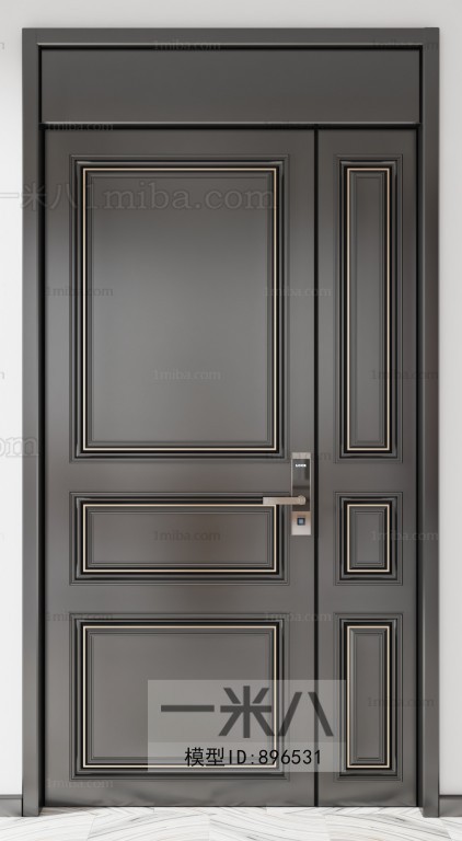 Modern Entrance Door