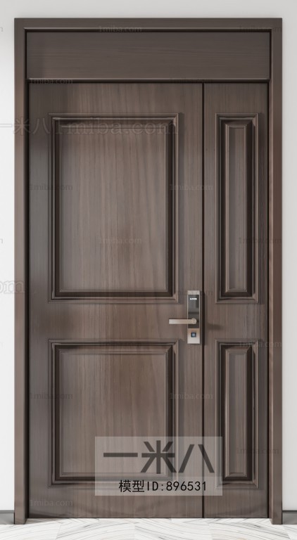 Modern Entrance Door