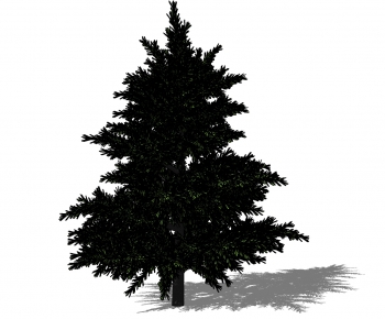 Modern Tree-ID:493523158
