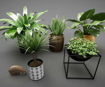 Modern Potted Green Plant-ID:780508819