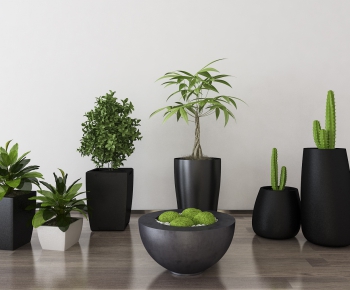 Modern Potted Green Plant-ID:760243434