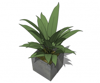 Modern Potted Green Plant-ID:160756791