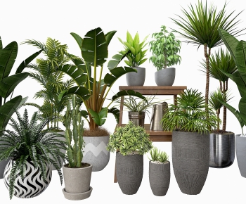 Modern Potted Green Plant-ID:276529543