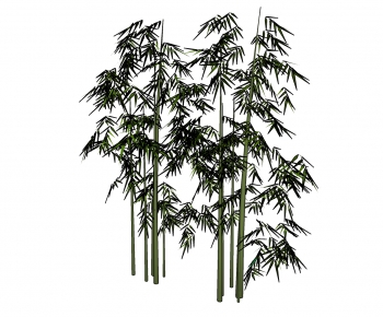 Modern Bamboo-ID:465865698