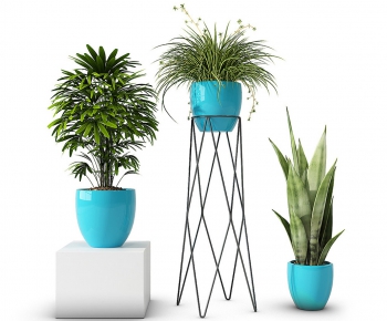 Modern Potted Green Plant-ID:549271936