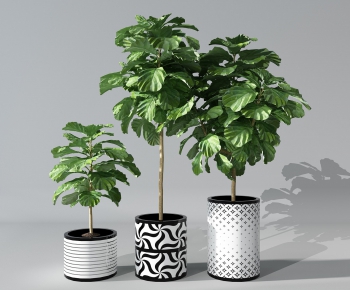 Modern Potted Green Plant-ID:647163173