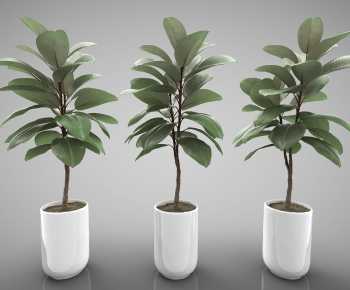 Modern Potted Green Plant-ID:273099165