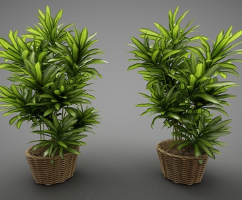 Modern Potted Green Plant-ID:409935174