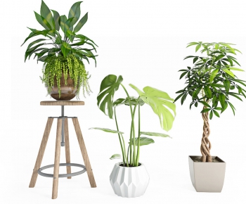 Modern Potted Green Plant-ID:586115485