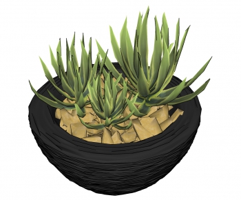 Modern Potted Green Plant-ID:709874727