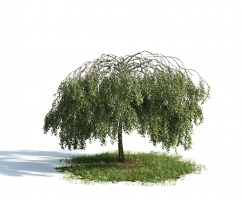 Modern Tree-ID:463241353