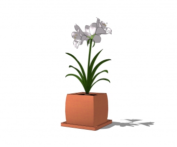 Modern Potted Green Plant-ID:253247956