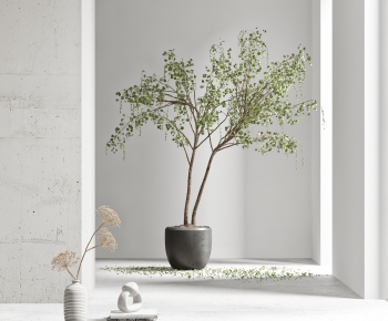 Modern Potted Green Plant-ID:237042175