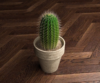 Modern Potted Green Plant-ID:782336332