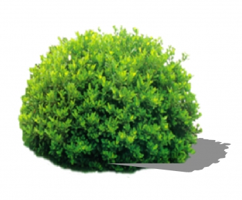 现代绿色植物-ID:867643987