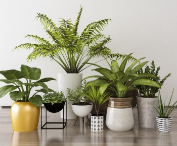 Modern Nordic Style Potted Green Plant-ID:353360855