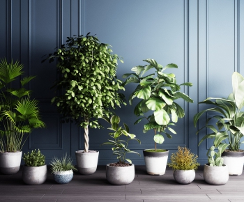 Modern Potted Green Plant-ID:452311529