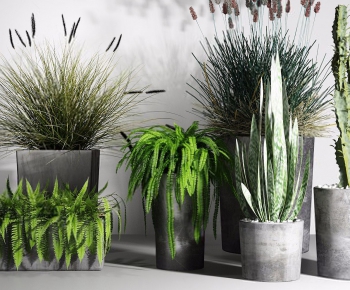 Modern Potted Green Plant-ID:323355233