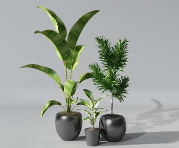 Modern Potted Green Plant-ID:596361151