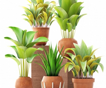 Modern Potted Green Plant-ID:230439427