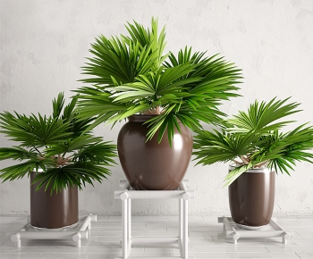 Modern Potted Green Plant-ID:160792694