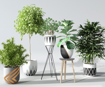 Modern Potted Green Plant-ID:785399967