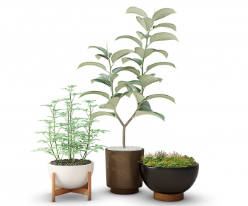 Modern Potted Green Plant-ID:986735824