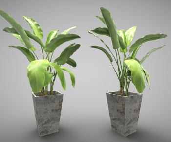 Modern Potted Green Plant-ID:824843548