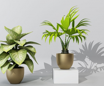 Modern Potted Green Plant-ID:621363249