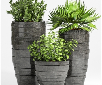 Modern Potted Green Plant-ID:313974311