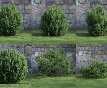 Modern Shrubbery-ID:753913346