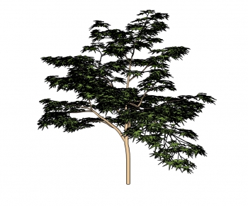 Modern Tree-ID:563239342