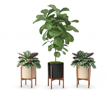 Modern Potted Green Plant-ID:912656232