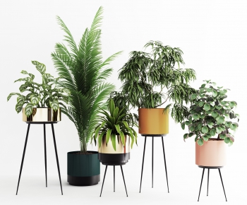 Modern Potted Green Plant-ID:217342839