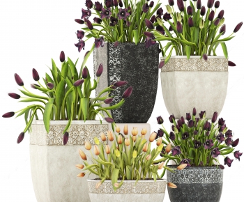 Modern Potted Green Plant-ID:805857849