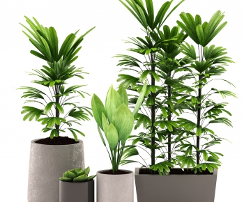 Modern Potted Green Plant-ID:783086442