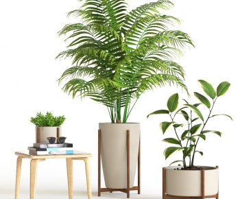 Modern Potted Green Plant-ID:730177785