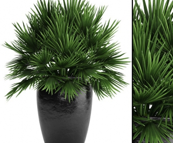 Modern Potted Green Plant-ID:489375355