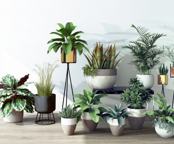 Modern Potted Green Plant-ID:434955754