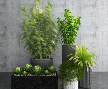 Modern Potted Green Plant-ID:300499788