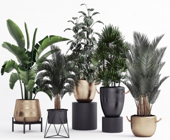 Modern Potted Green Plant-ID:748129784